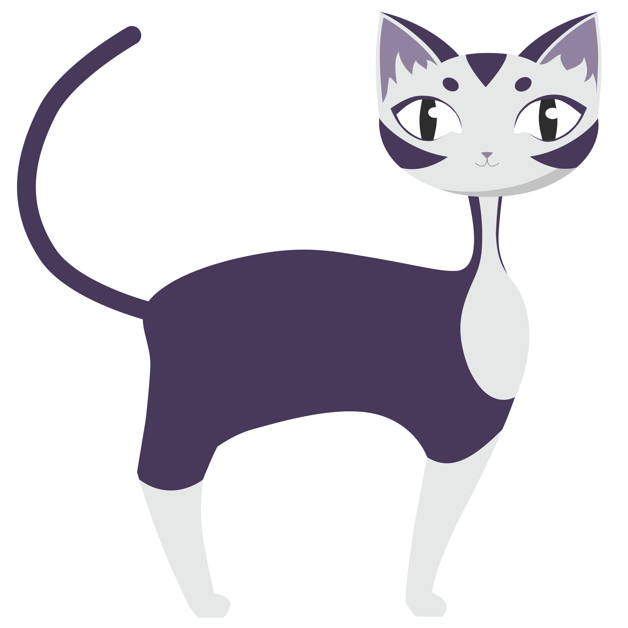 Juju le chat